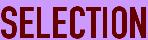 SELECTION